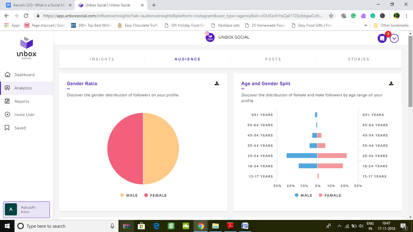 Social media reports, social media audience insights