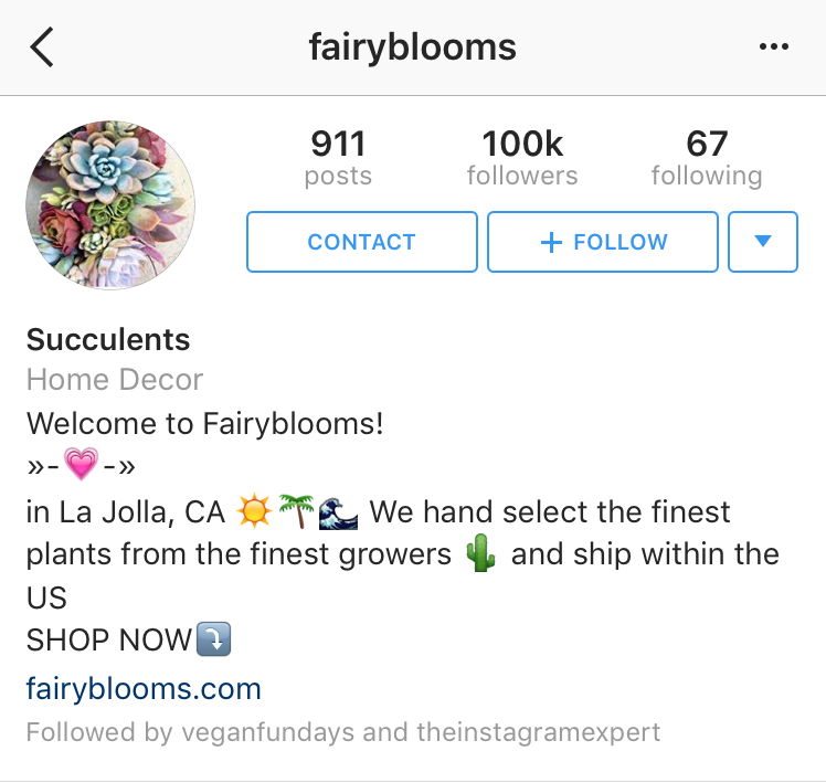Calls to action in Instagram bio