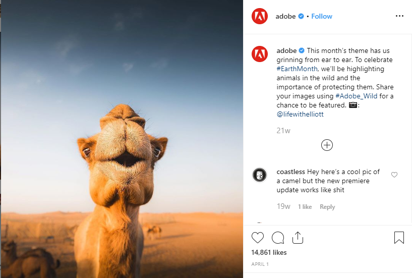 Adobe Instagram Campaigns