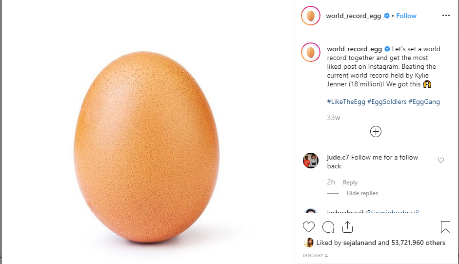 World Record Egg