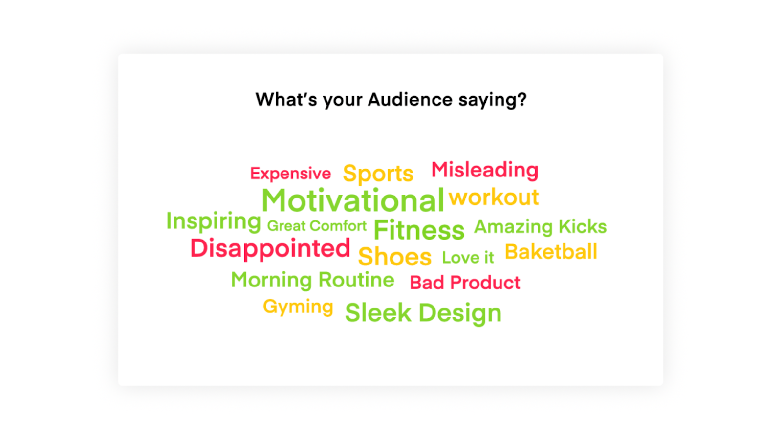 audience insights