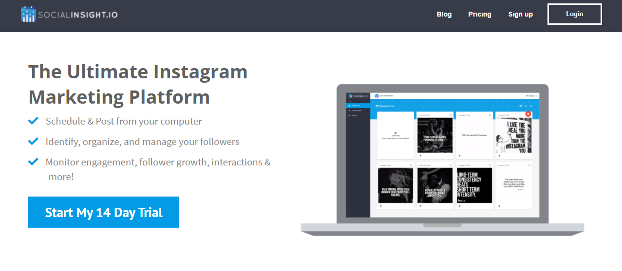 Social Insight