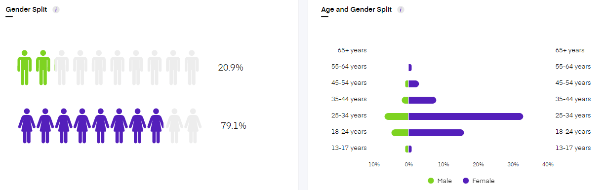 Instagram audience insights