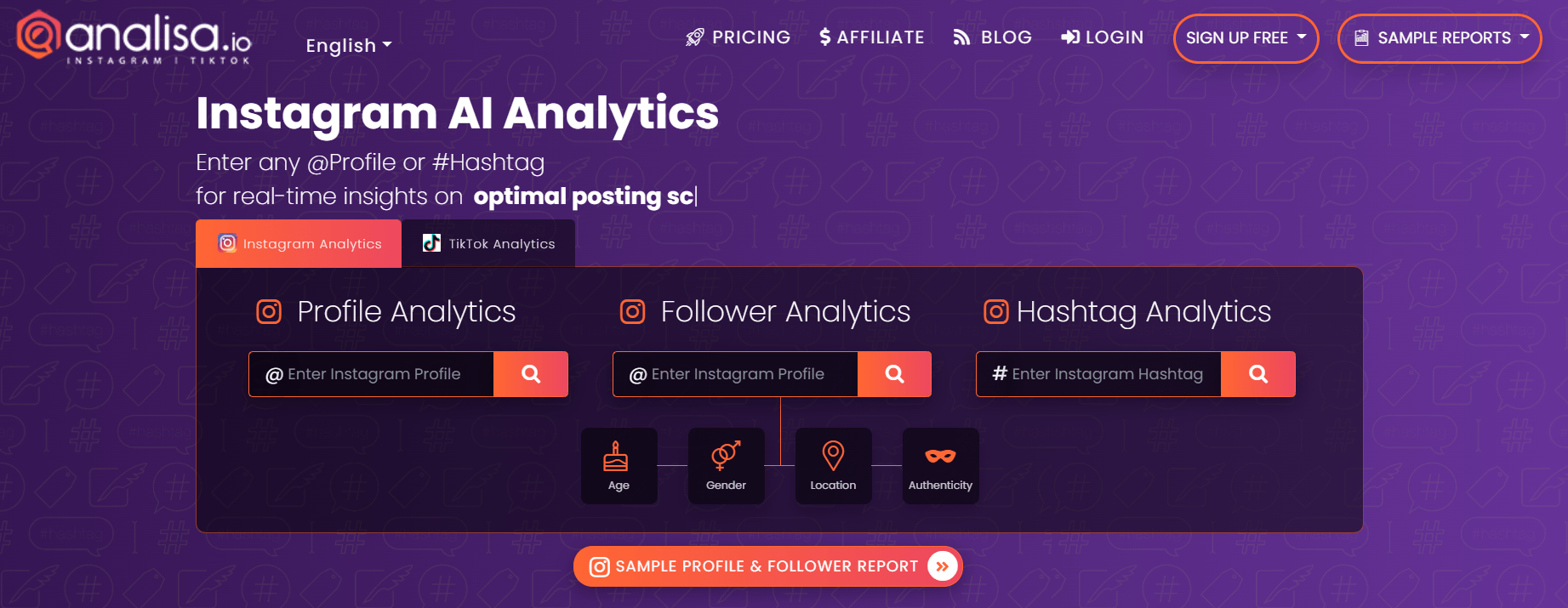 Instagram audience insights tool